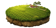 Land